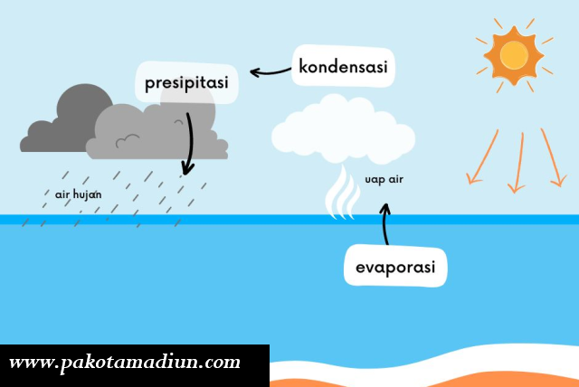 Proses Terjadinya Hujan: Evaporasi, Kondensasi, Presipitasi